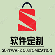 软件定制